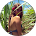 Demmi-Lee Skye from FLOWER PUFF GIRL Google review for JeiSEO